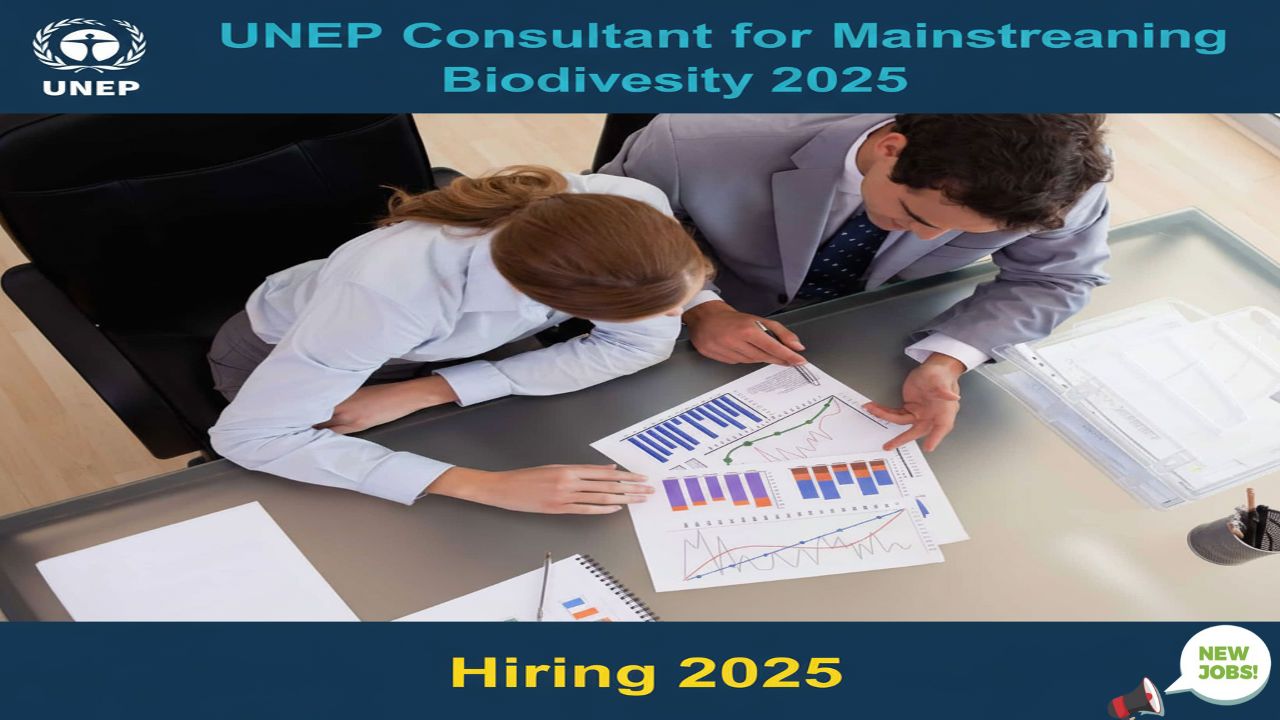 UNEP Consultant for Mainstreaming Biodiversity 2025: Role, Scope, How to Apply, Deadline