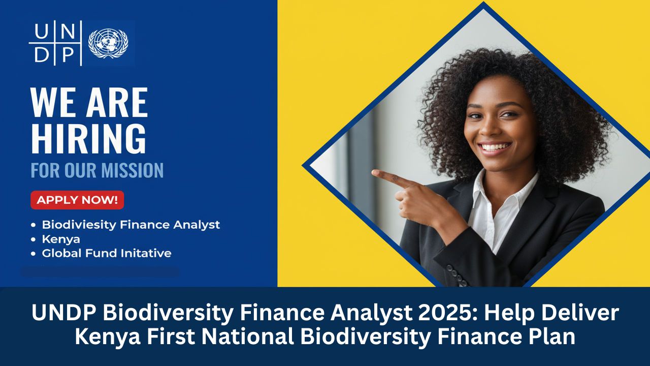 UNDP Biodiversity Finance Analyst 2025: Help Deliver Kenya First National Biodiversity Finance Plan